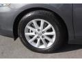 Magnetic Gray Metallic - Camry XLE Photo No. 14