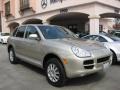 Prosecco Metallic - Cayenne Tiptronic Photo No. 1