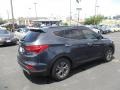 Marlin Blue - Santa Fe Sport Photo No. 3