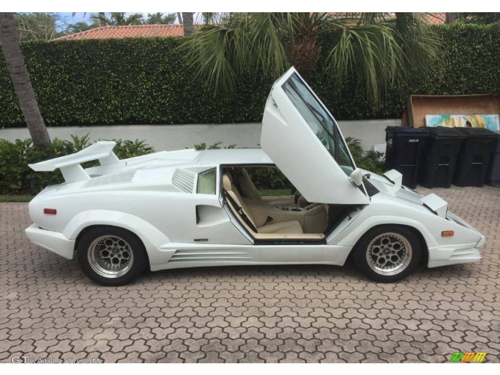 White 1989 Lamborghini Countach 25th Anniversary Edition Exterior Photo #112833126