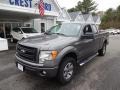 Sterling Gray Metallic - F150 STX SuperCab 4x4 Photo No. 3