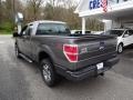 Sterling Gray Metallic - F150 STX SuperCab 4x4 Photo No. 5