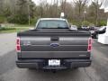 Sterling Gray Metallic - F150 STX SuperCab 4x4 Photo No. 6