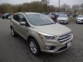 2017 White Gold Ford Escape SE 4WD  photo #1