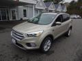 2017 White Gold Ford Escape SE 4WD  photo #3
