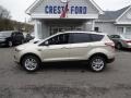 2017 White Gold Ford Escape SE 4WD  photo #4