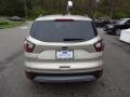 2017 White Gold Ford Escape SE 4WD  photo #6