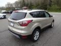 2017 White Gold Ford Escape SE 4WD  photo #7