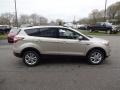 2017 White Gold Ford Escape SE 4WD  photo #8