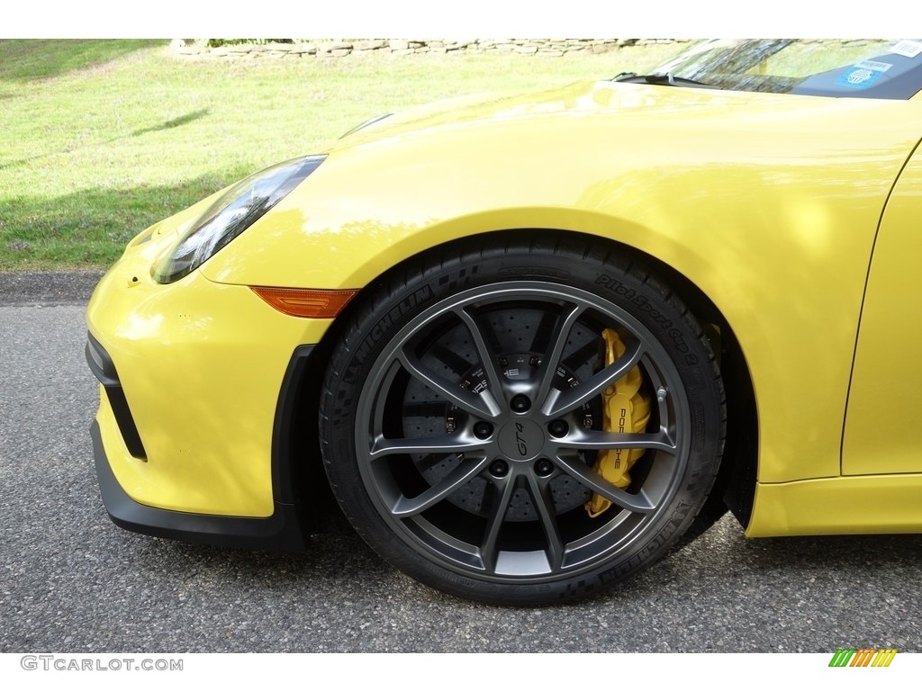 2016 Cayman GT4 - Racing Yellow / Black photo #10