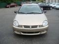 Light Almond Pearl Metallic - Neon SXT Photo No. 7