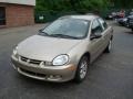 2002 Light Almond Pearl Metallic Dodge Neon SXT  photo #8