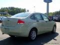 2011 Natural Neutral Metallic Ford Focus SE Sedan  photo #5