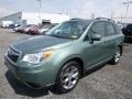 2016 Jasmine Green Metallic Subaru Forester 2.5i Touring  photo #12