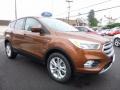 2017 Canyon Ridge Ford Escape SE 4WD  photo #3