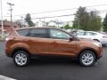 2017 Canyon Ridge Ford Escape SE 4WD  photo #4