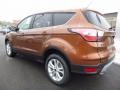 2017 Canyon Ridge Ford Escape SE 4WD  photo #9