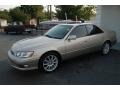 Burnished Gold Metallic - ES 300 Sedan Photo No. 6