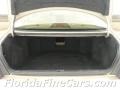 Cashmere Beige Metallic - ES 300 Photo No. 10