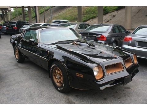 1976 Pontiac Firebird Trans Am Data, Info and Specs