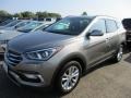 Mineral Gray - Santa Fe Sport 2.0T Photo No. 2
