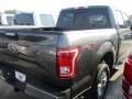 2016 Magnetic Ford F150 XLT SuperCrew 4x4  photo #8