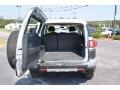 Titanium Metallic - FJ Cruiser  Photo No. 11