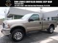 Arizona Beige Metallic 2005 Ford F250 Super Duty XL Regular Cab 4x4