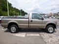 Arizona Beige Metallic - F250 Super Duty XL Regular Cab 4x4 Photo No. 6