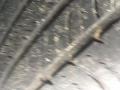 Quicksilver Metallic - Enclave AWD Photo No. 28