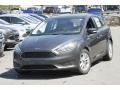 Magnetic - Focus SE Hatch Photo No. 1