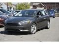 Magnetic - Focus SE Hatch Photo No. 2