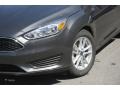 Magnetic - Focus SE Hatch Photo No. 3