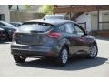 Magnetic - Focus SE Hatch Photo No. 4