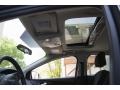 Magnetic - Focus SE Hatch Photo No. 13