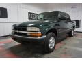 2002 Forest Green Metallic Chevrolet S10 LS Crew Cab 4x4  photo #3
