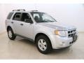 Ingot Silver Metallic 2012 Ford Escape XLT