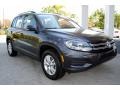 Panther Gray Metallic - Tiguan S Photo No. 2