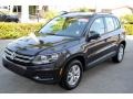 Panther Gray Metallic - Tiguan S Photo No. 4