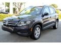 Panther Gray Metallic - Tiguan S Photo No. 5