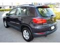 Panther Gray Metallic - Tiguan S Photo No. 6