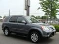 Pewter Pearl - CR-V SE 4WD Photo No. 3