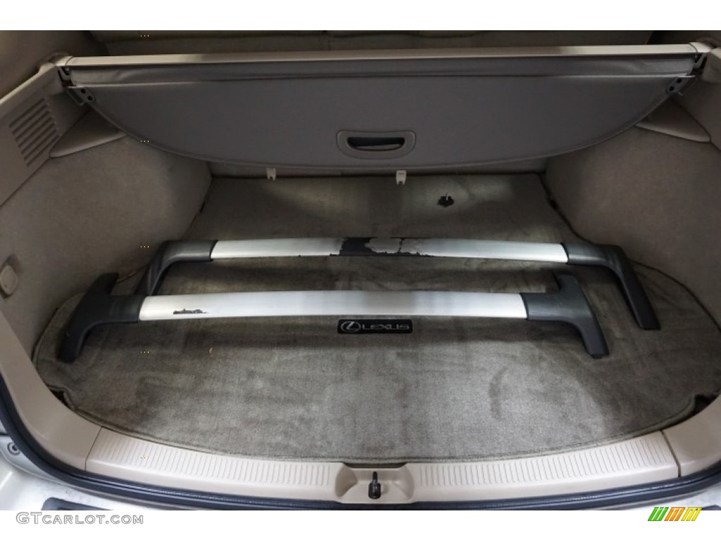 2001 RX 300 AWD - White Gold Crystal / Ivory photo #23