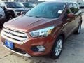 2017 Canyon Ridge Ford Escape SE  photo #3