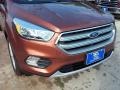 2017 Canyon Ridge Ford Escape SE  photo #20