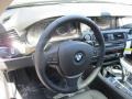 2016 Dark Graphite Metallic BMW 5 Series 528i xDrive Sedan  photo #15