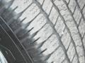 Arctic White - Raider LS Extended Cab Photo No. 10
