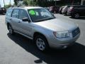 Crystal Gray Metallic - Forester 2.5 X Photo No. 4