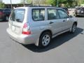 Crystal Gray Metallic - Forester 2.5 X Photo No. 6