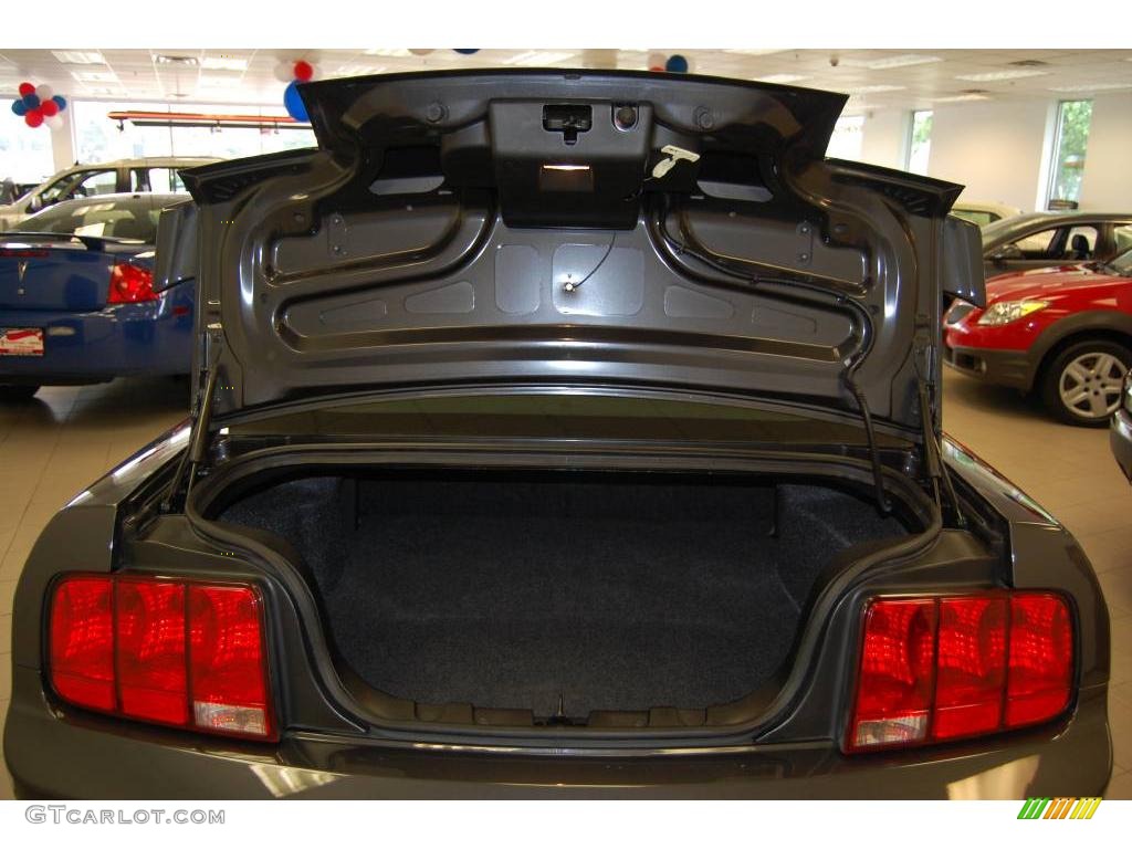 2007 Mustang GT Premium Coupe - Alloy Metallic / Dark Charcoal photo #14